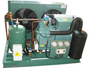 比澤爾蒸發冷螺桿低溫速凍