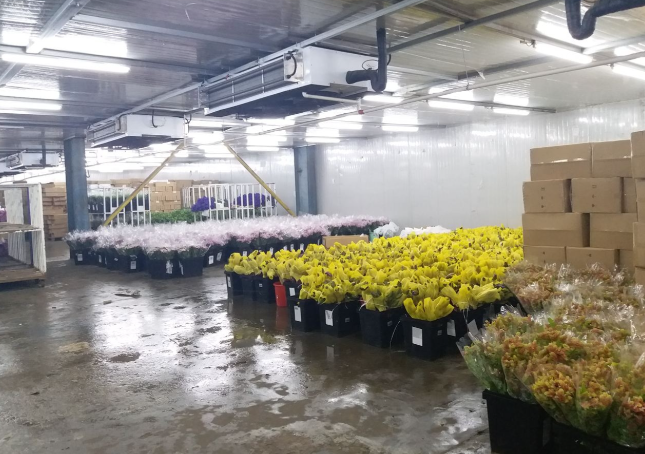 8249d31f86c3ab526613fea2f785c336.png 8249d31f86c3ab526613fea2f785c336.png